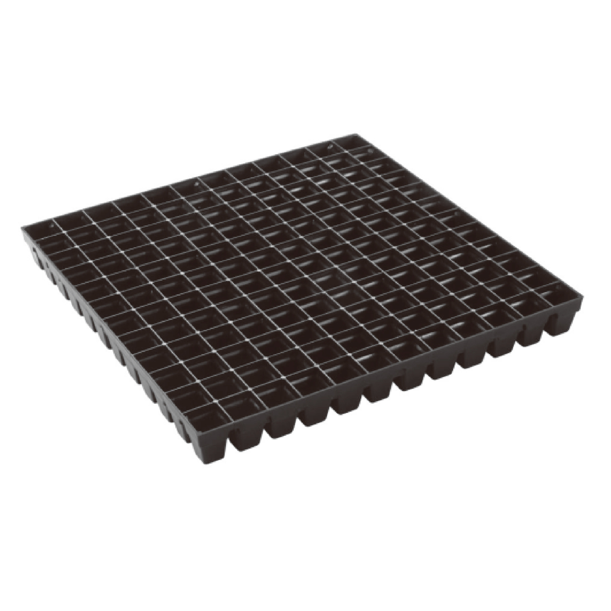 PP 144 Cell Seedling Tray, 395*395mm, 25CC, 40mm Height 