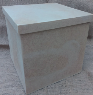 CAJA CON TAPA ENCIMA