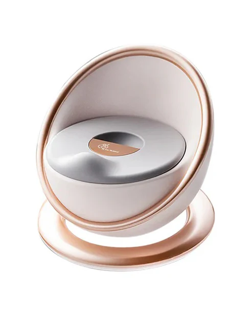Kids Potty Chair