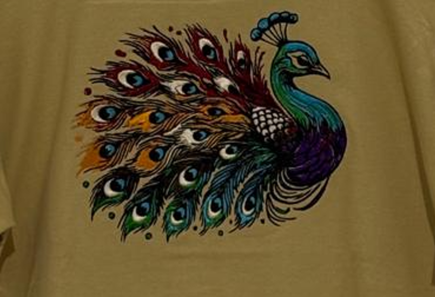 The Majestic Peacock