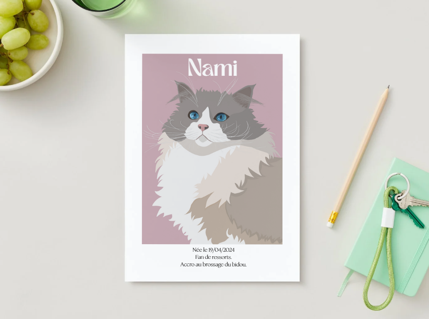 Personnalisation du projet