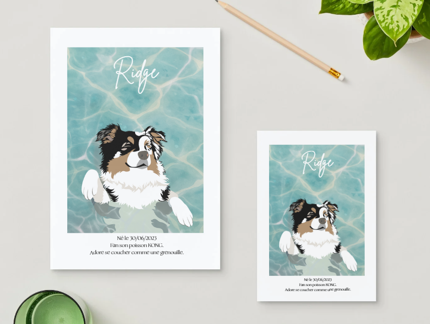 Personnalisation du projet