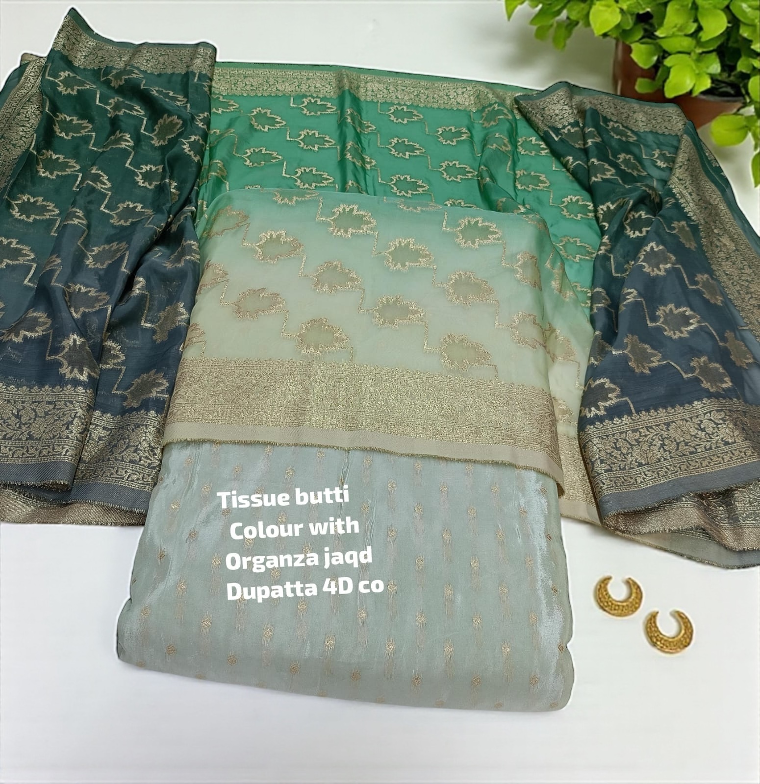 Tissue butti Colour with Organza jaqd Dupatta 4D co