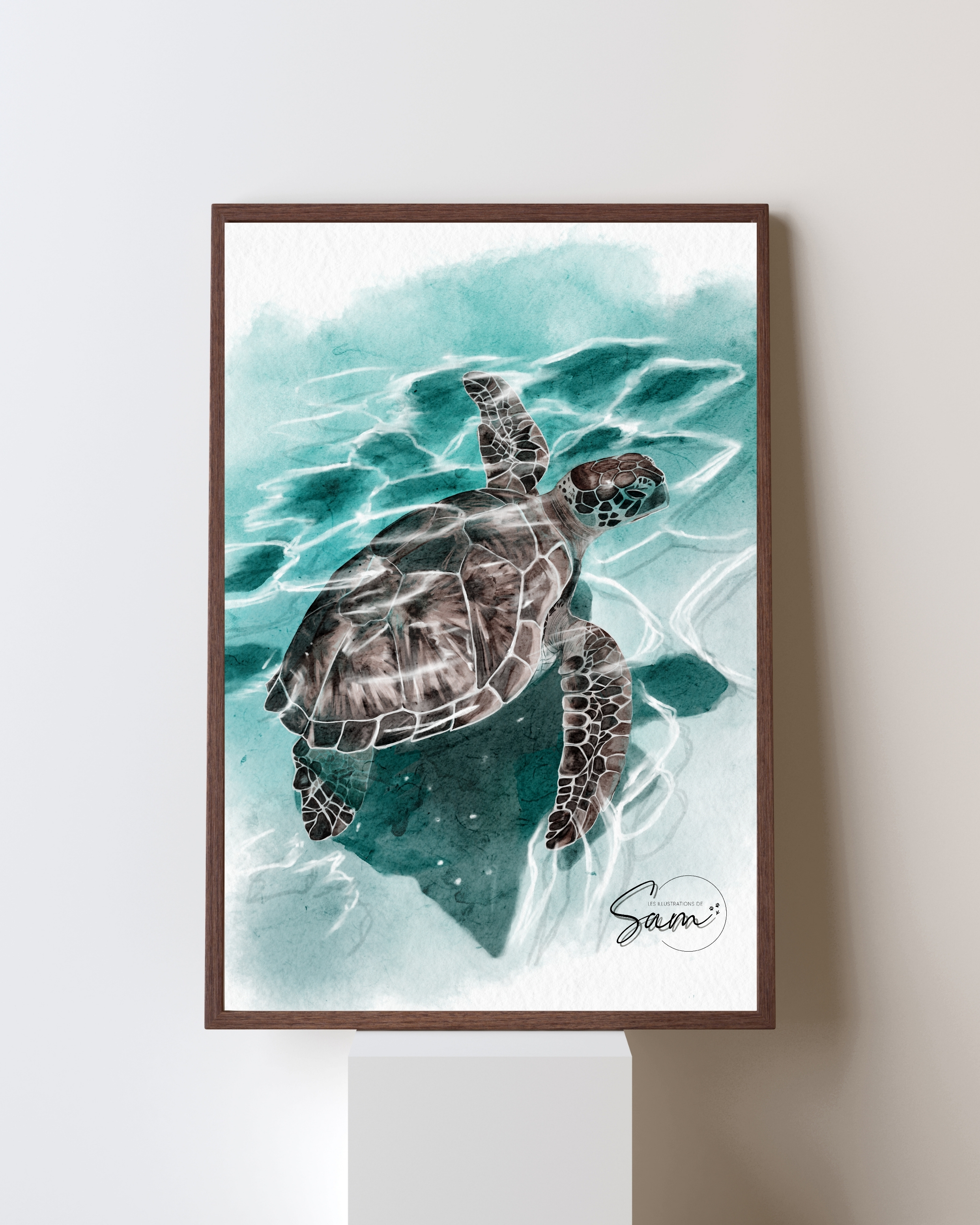 Impression  d'Art Tortue - Edition limitée