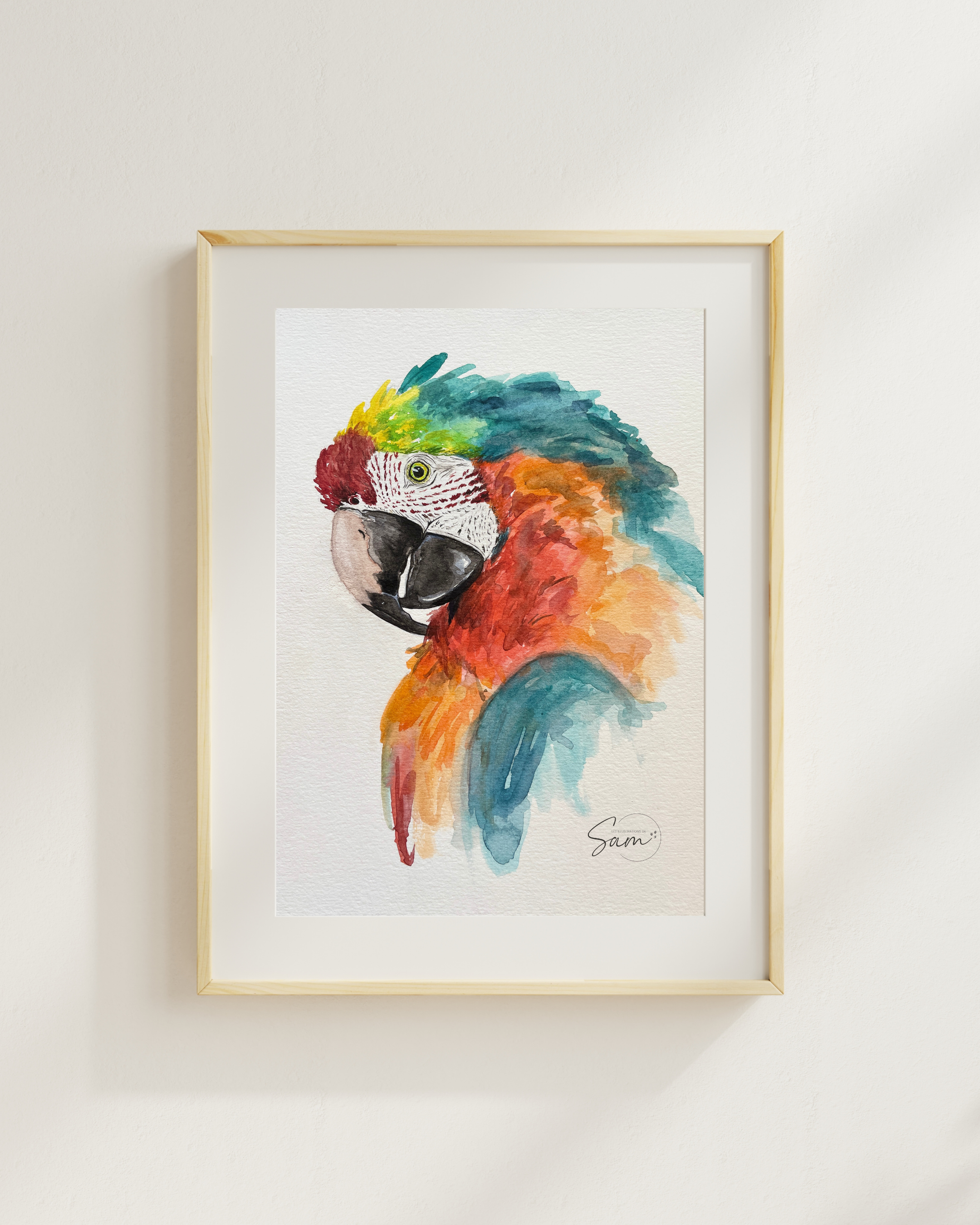 Impression d'Art Perroquet -  Edition limitée