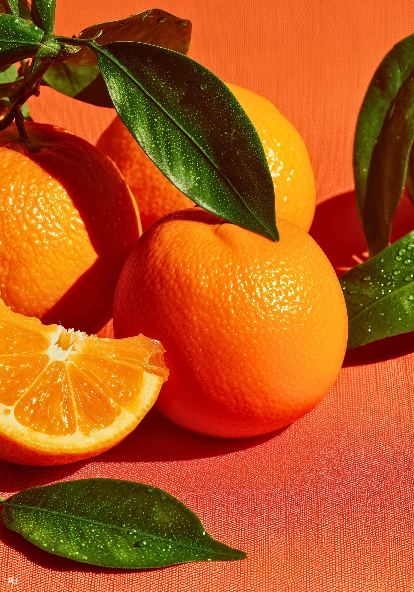 Mandarine Solaire