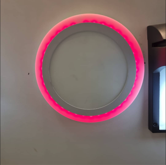 Modern Pink LED Ceiling Light