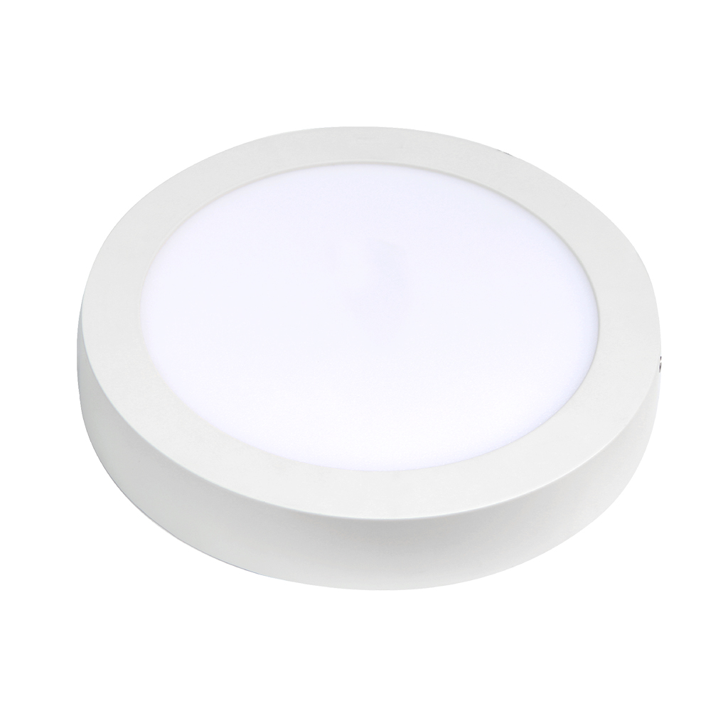 12W/R B- LED CEILING LIGHT