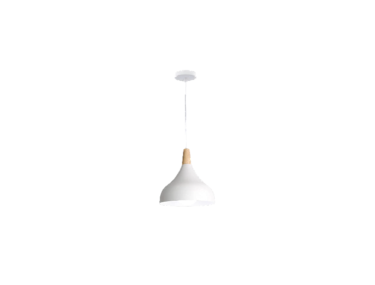 Modern pendant lamp