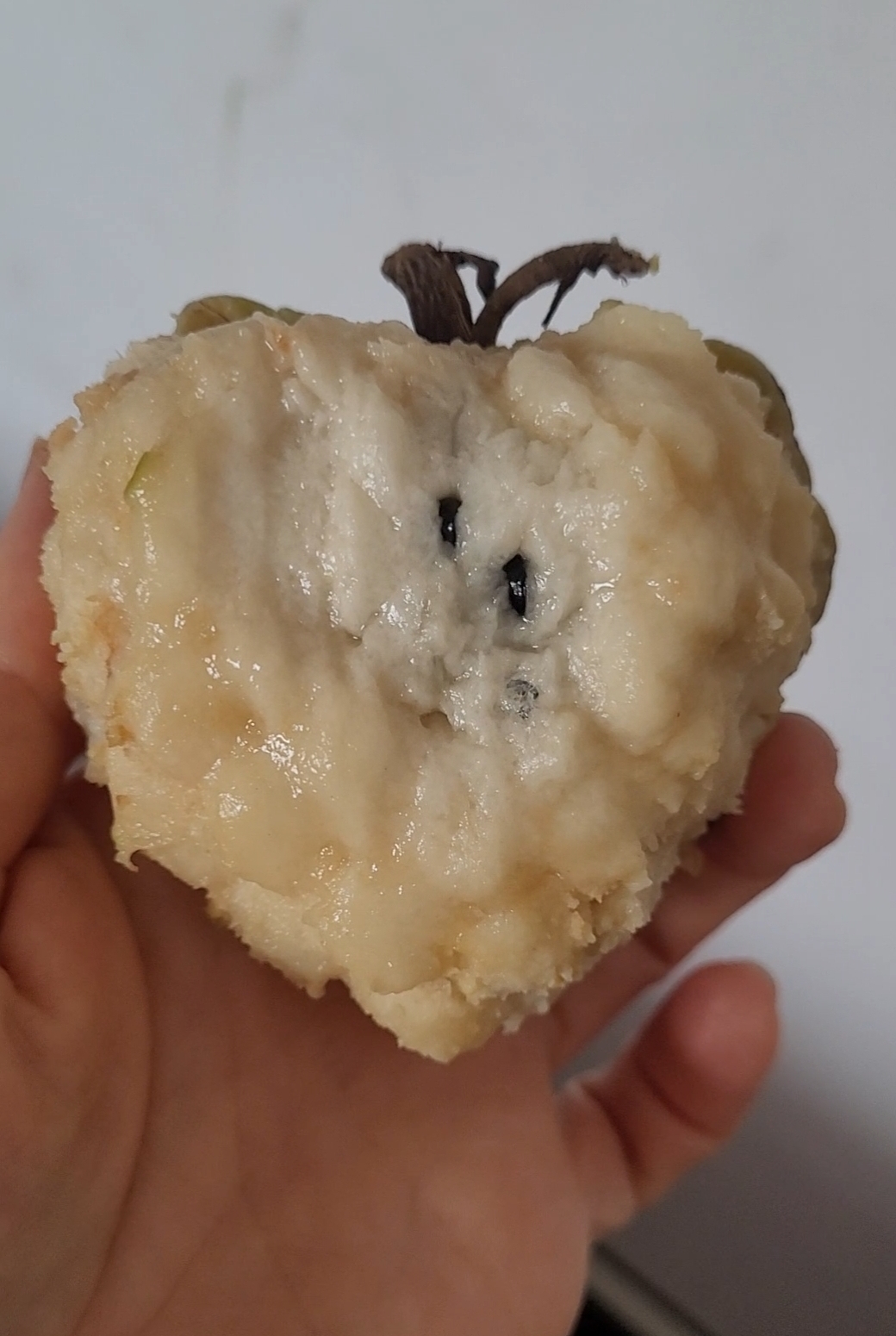 Sugar Apple (Cambodian) 15 seeds