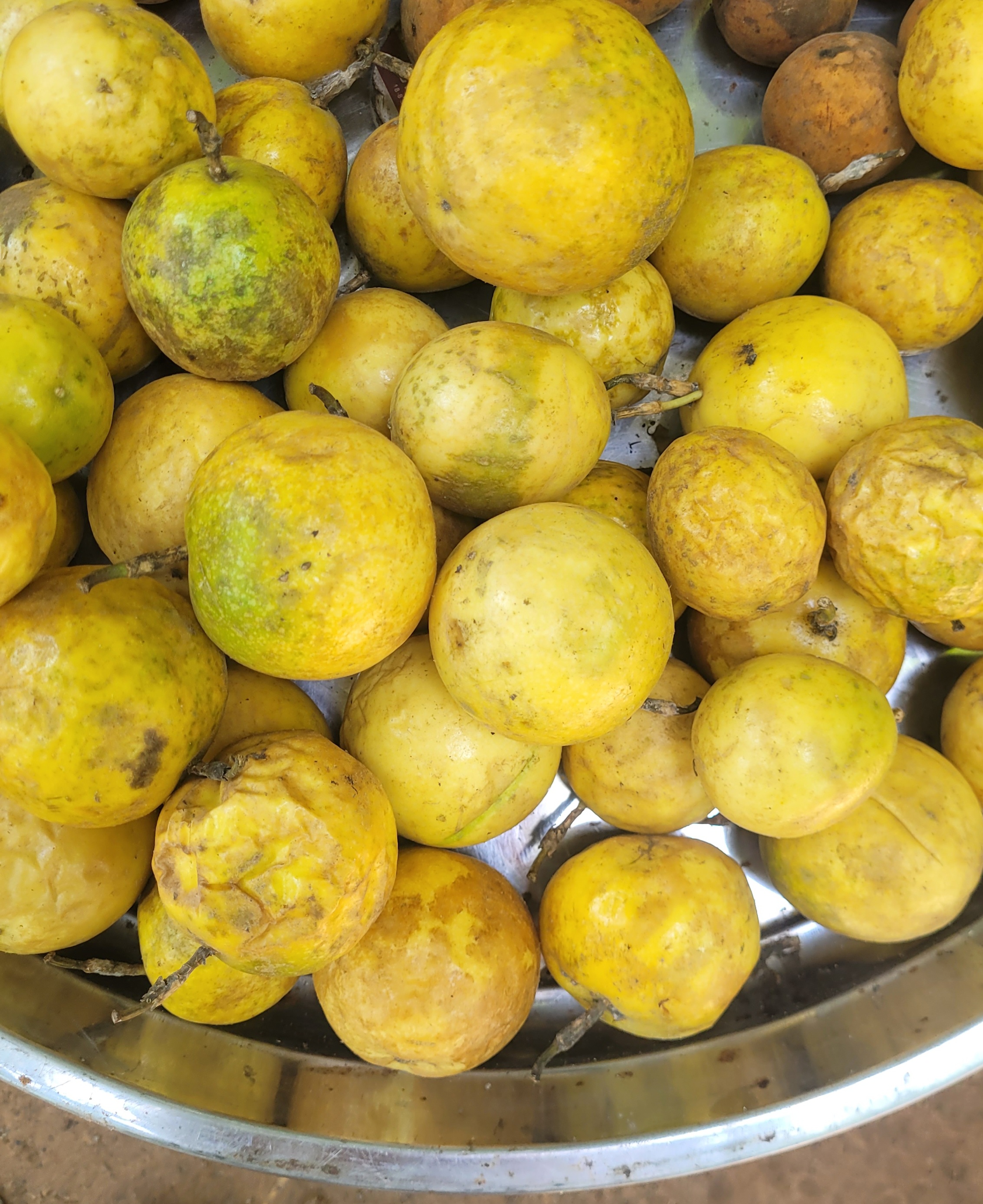 Yellow Cambodian Passionfruit 15 Seeds