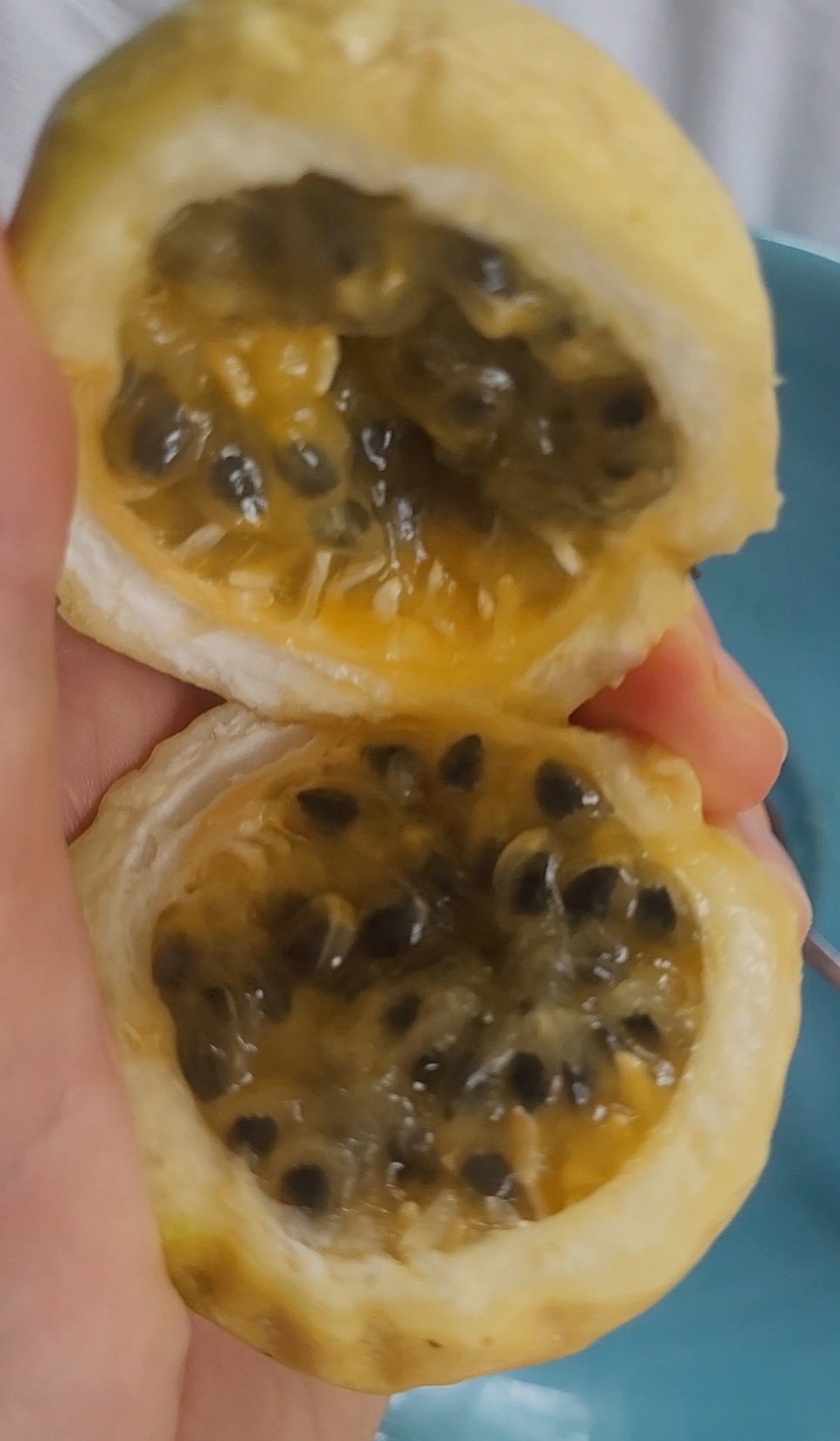 Yellow Mondulkiri Honey Passionfruit 10 Seeds