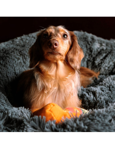 Cama para Mascotas Redonda