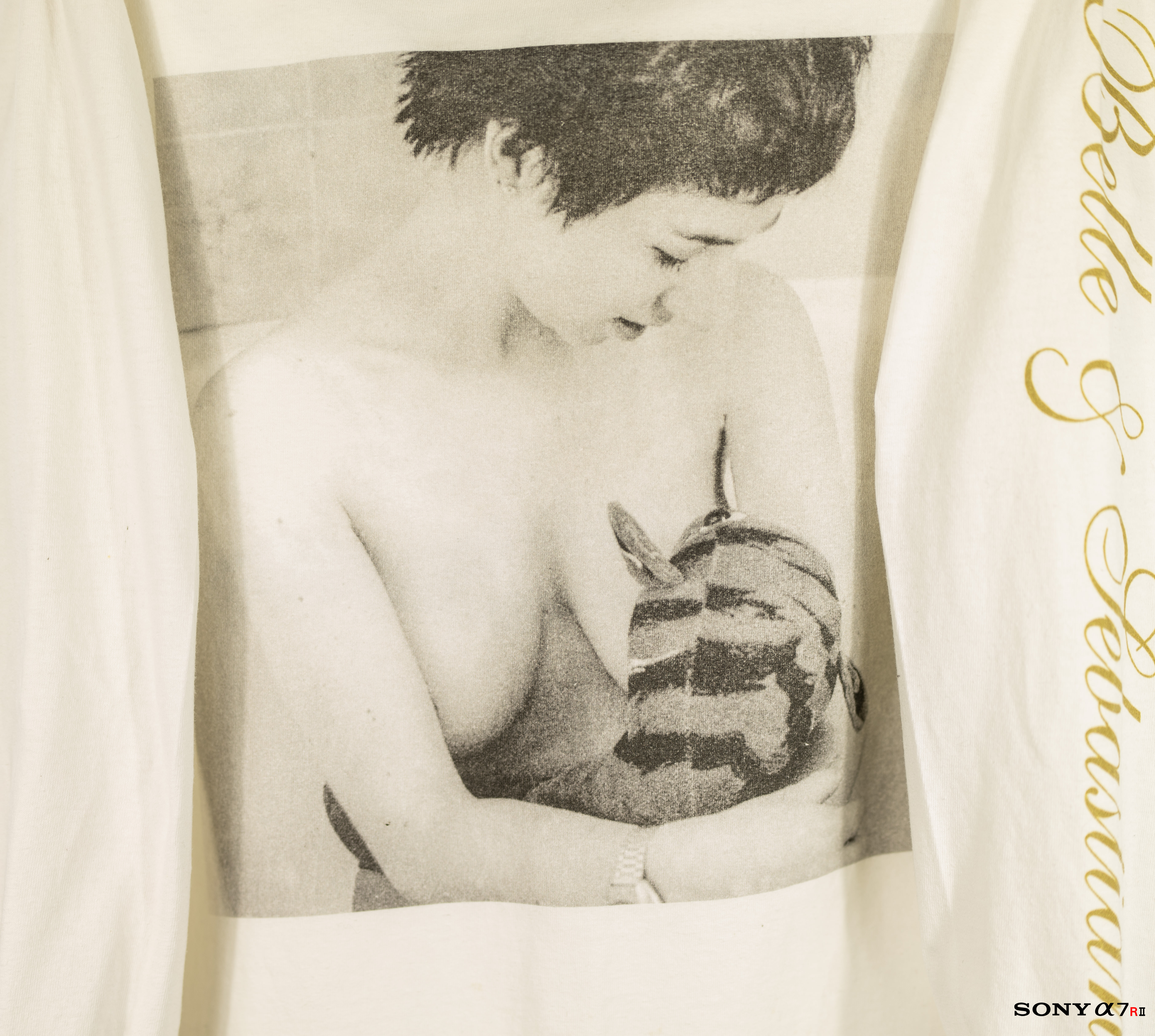 BELLE & SEBASTIAN - TIGERMILK 00's