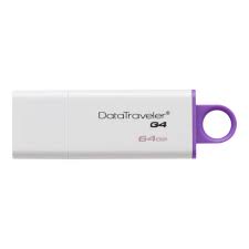 Kingston DataTraveler G4 USB Flash Drive