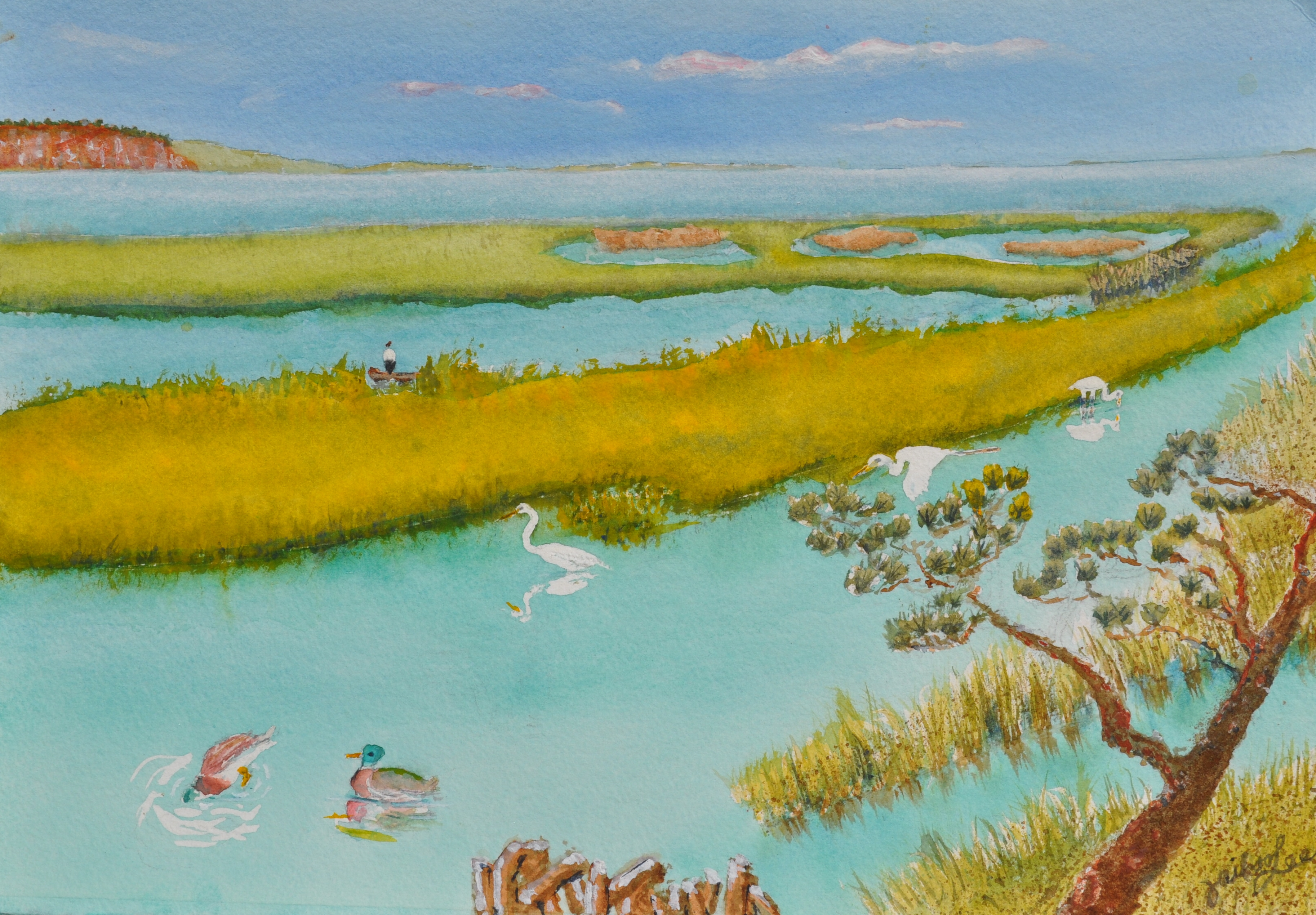 Marshland and Its Frequent Visitors