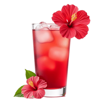 Hibiscus Drink (zobo)