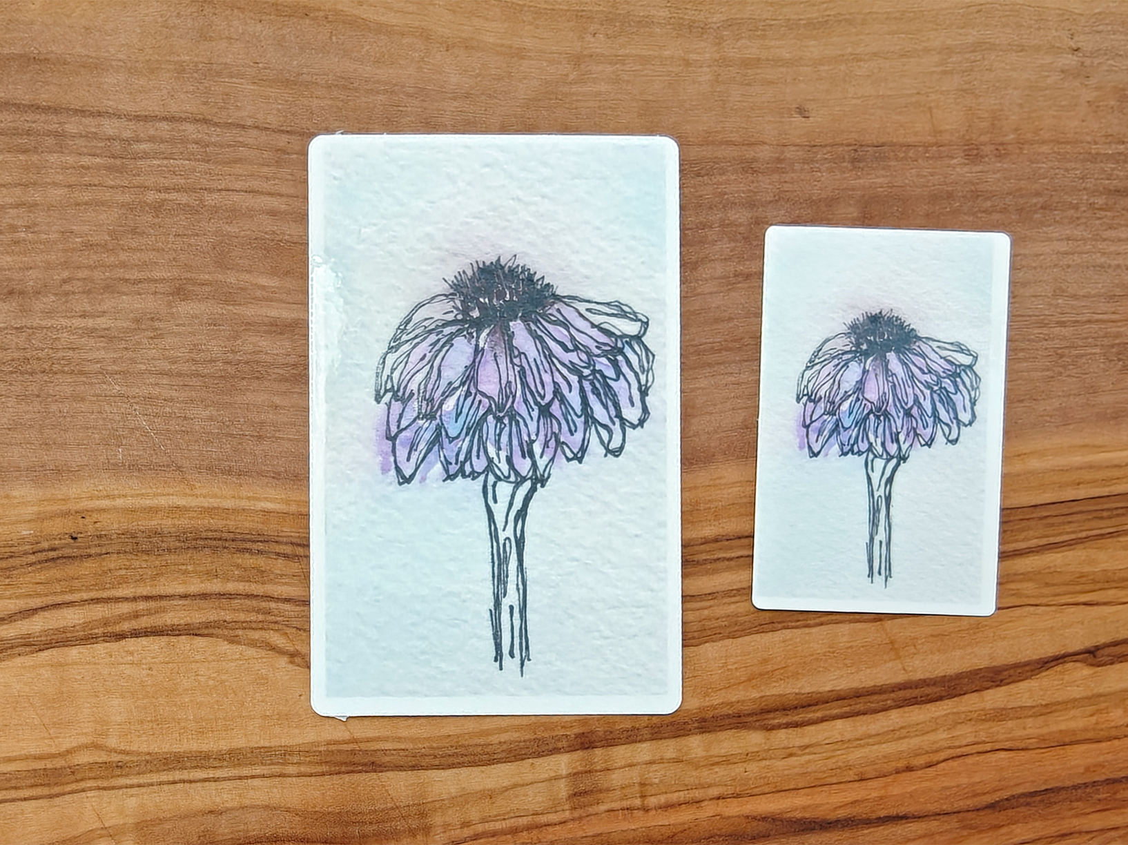 Purple Coneflower Sticker | Watercolor Line and Wash Botanical on Pale Purple Background | Rectangular Vinyl Waterproof Sticker in 2", 2.5", or 3" Tall
