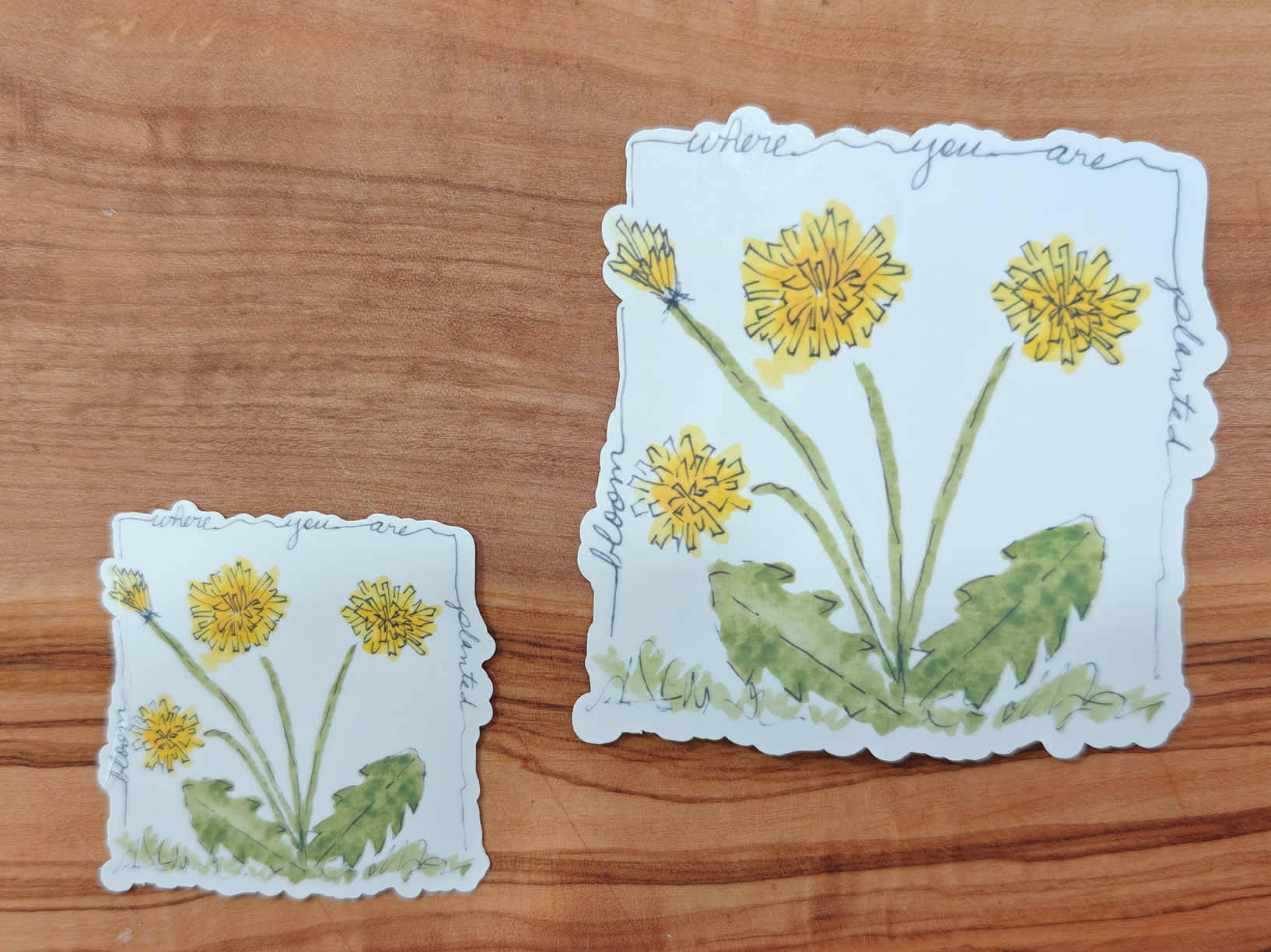 Bloom Where You Are Planted Sticker | Watercolor Dandelion Line and Wash with Handwritten Border | 2", 2.5", or 3" Vinyl Waterproof Sticker