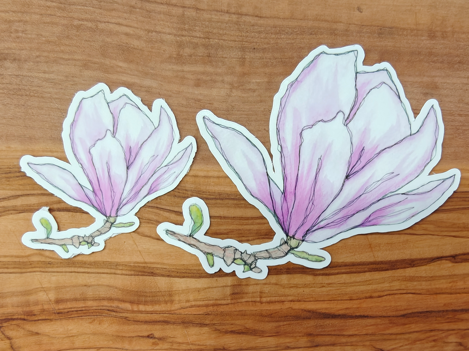 Japanese Magnolia Sticker | Hand-Painted Pale Pink Watercolor Flower on Branch | 2", 2.5", or 3" Vinyl Waterproof Sticker