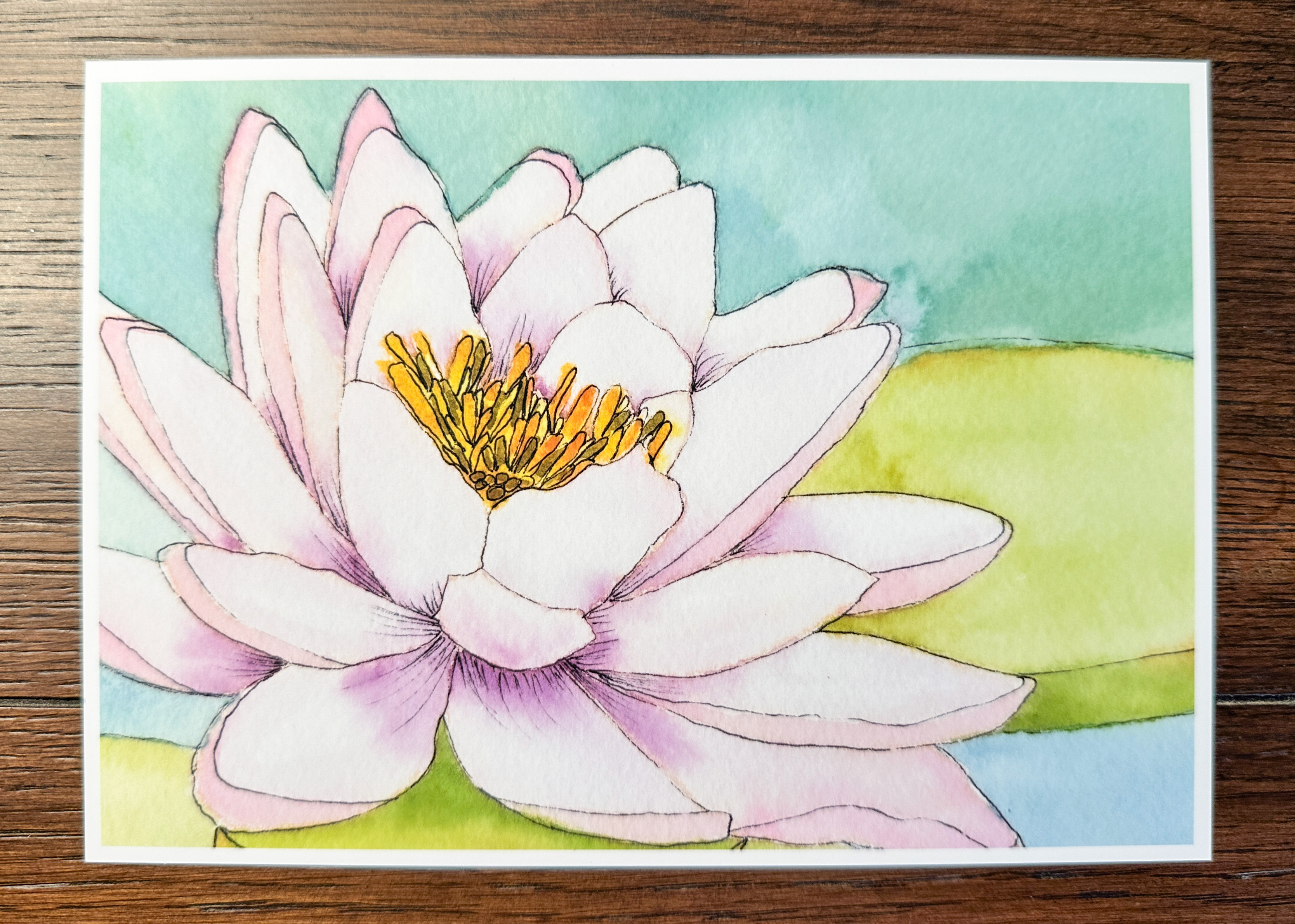 Water Lily Watercolor Print - Line and Wash Botanical Art in Soft Pinks and Greens