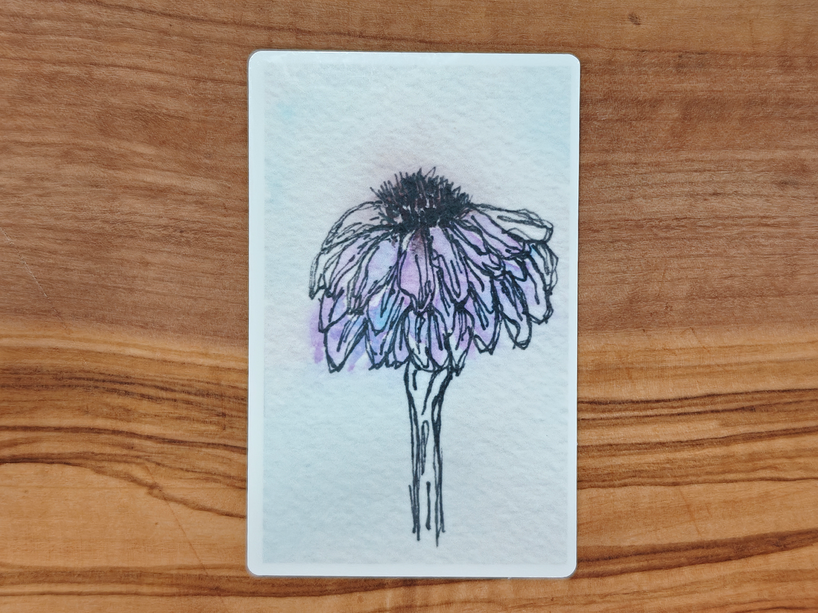 Purple Coneflower Sticker | Watercolor Line and Wash Botanical on Pale Purple Background | Rectangular Vinyl Waterproof Sticker in 2", 2.5", or 3" Tall