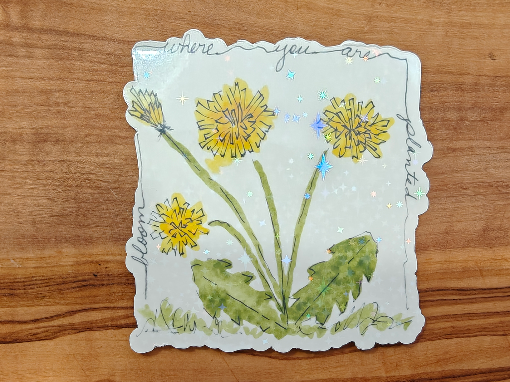Bloom Where You Are Planted Sticker | Watercolor Dandelion Line and Wash with Handwritten Border | 2", 2.5", or 3" Vinyl Waterproof Sticker