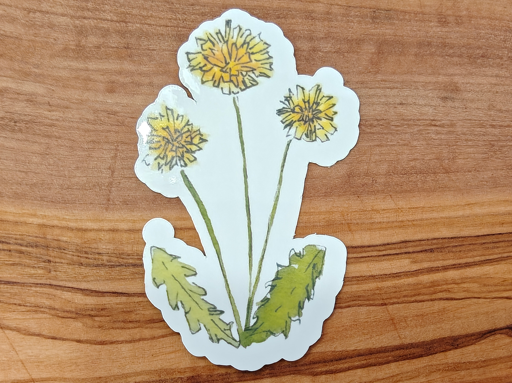 Botanical Sticker Pack | Watercolor Sunflower, Japanese Magnolia, Dandelion, and Mum | Set of 4 Vinyl Waterproof Stickers in 2", 2.5", or 3" Tall