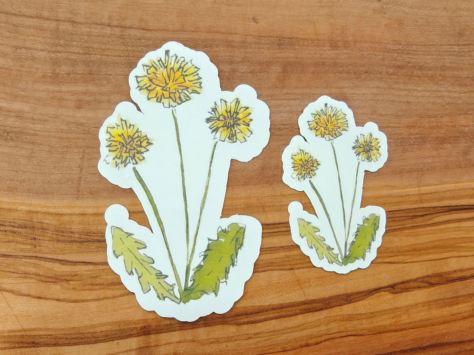 Watercolor Dandelion Sticker | Hand-Painted Botanical Line and Wash | 2", 2.5", or 3" Vinyl Waterproof Sticker