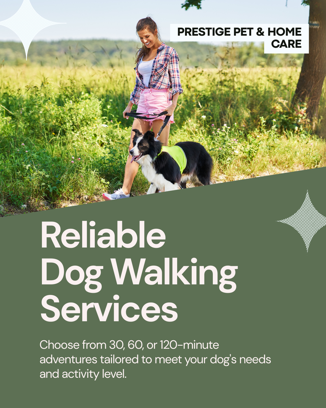 Reliable Dog Walking Services
