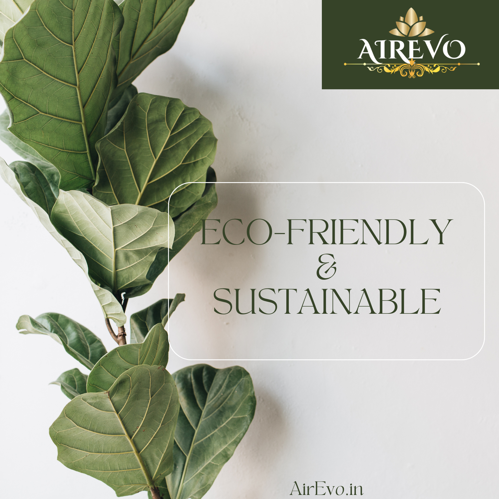 AIREVO 100% Pure Cold Press Castor Oil 