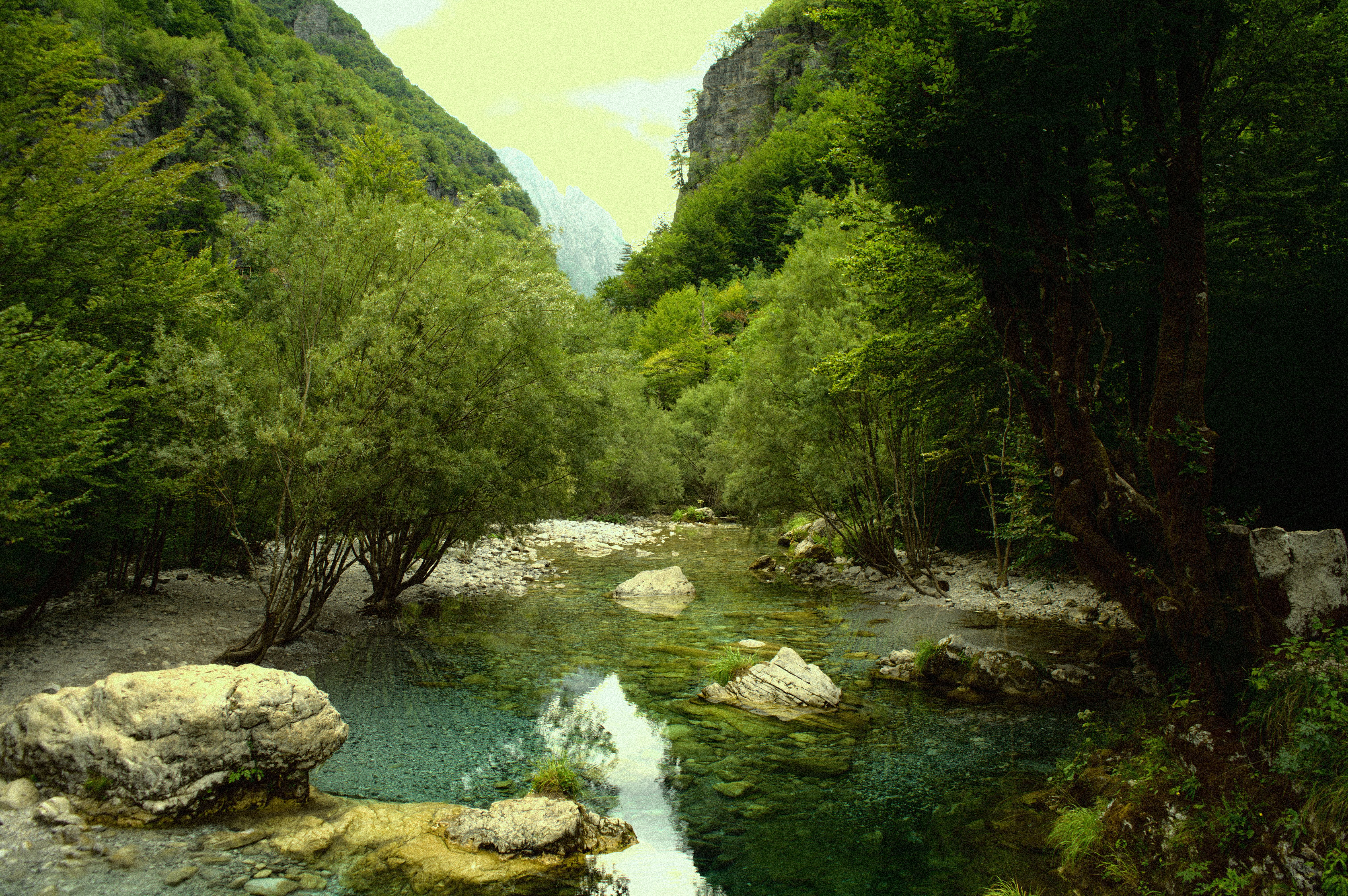 Mountain Stream Retreat