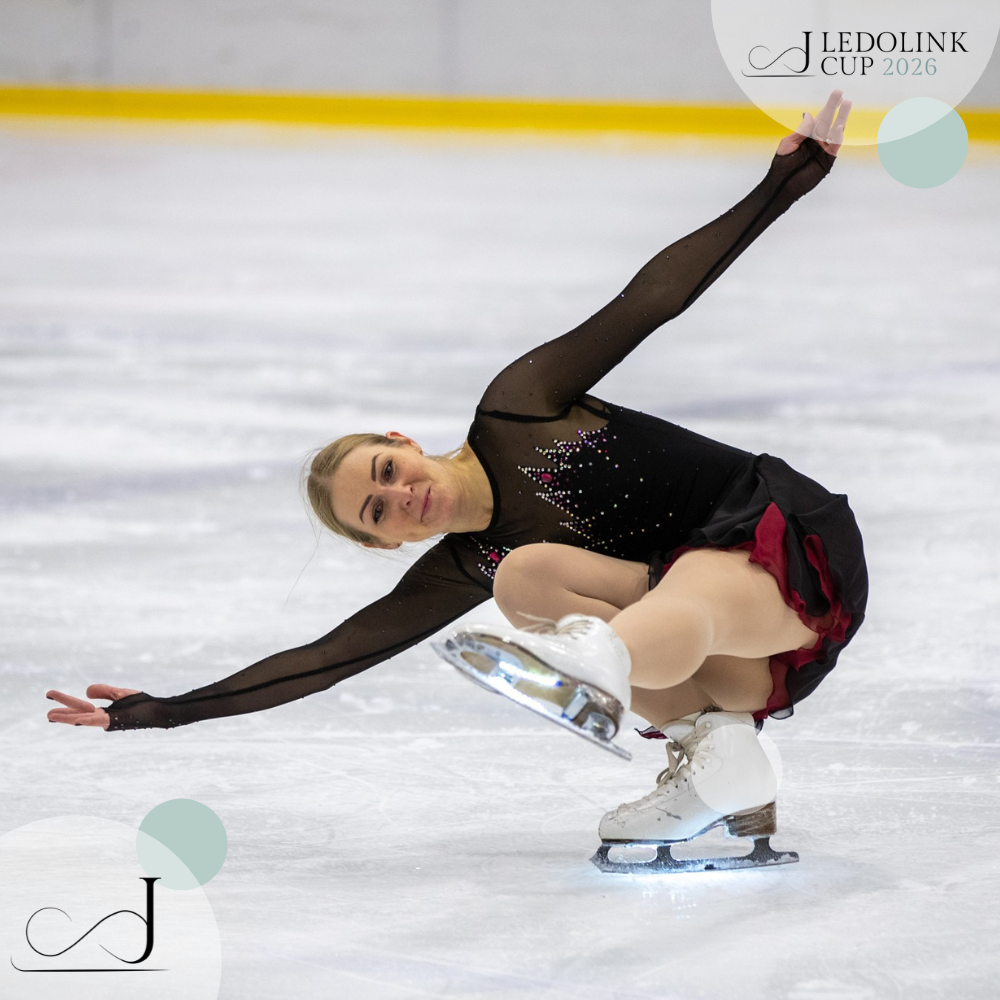 LED strips for skates