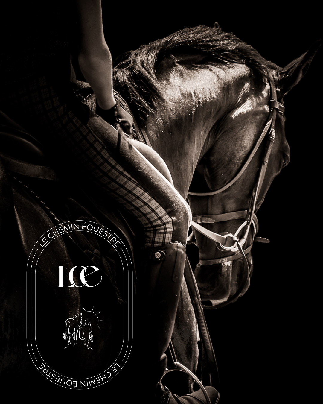 Trouvez l'équitation adaptée à VOTRE cheval