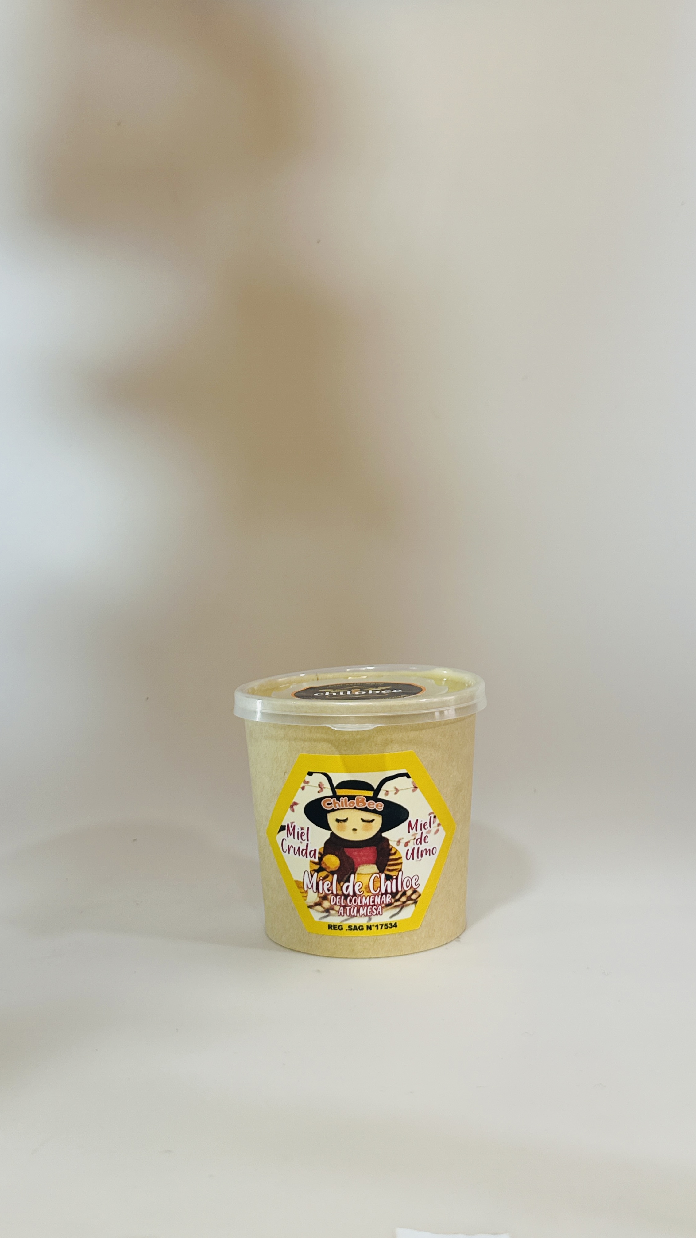 Miel de Ulmo 500 grs. ChiloBee 