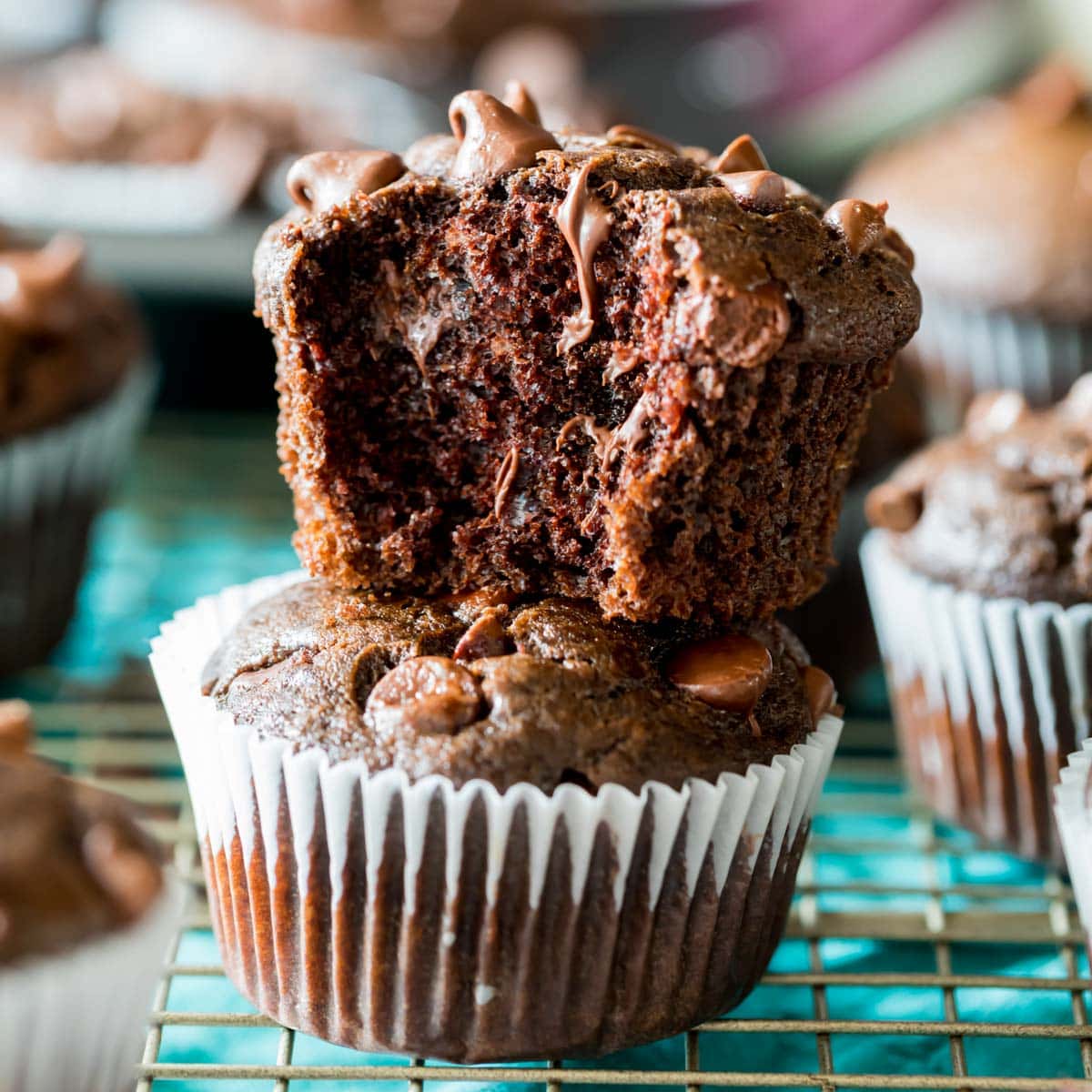 Dark Chocolate Muffins