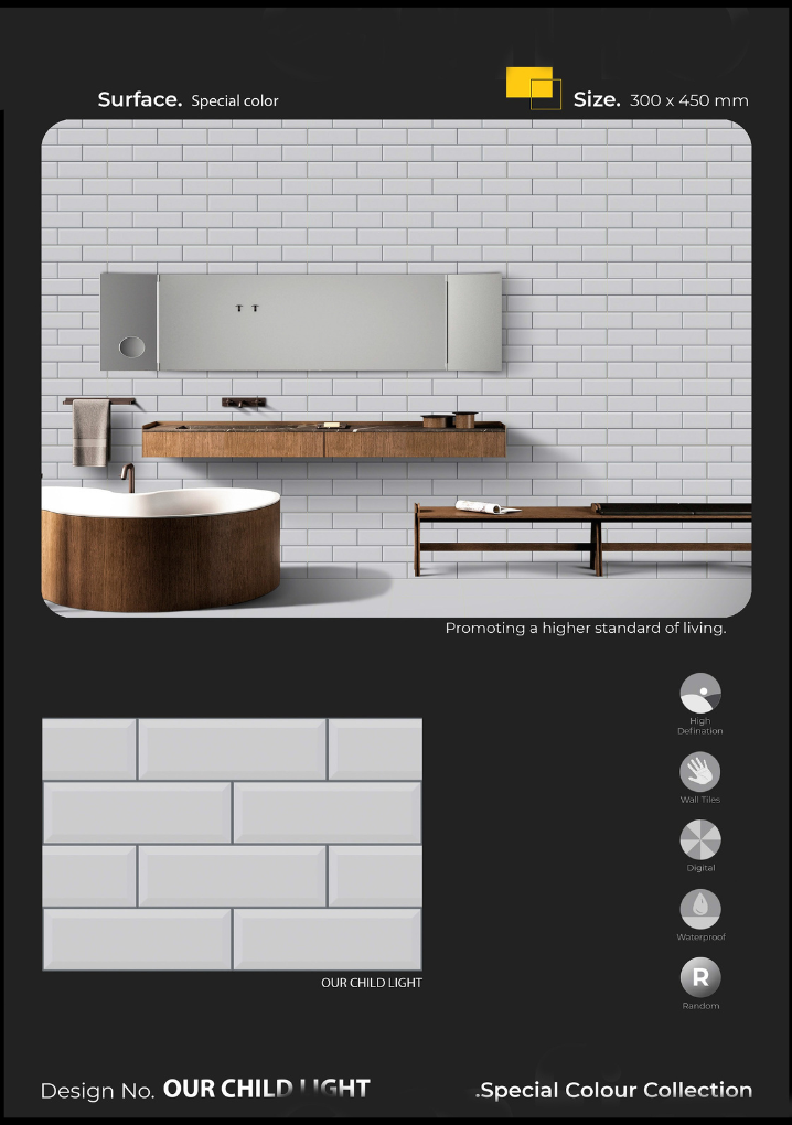 Premium Digital Wall Tiles – Glazed Finish in 300x300mm & 300x450mm