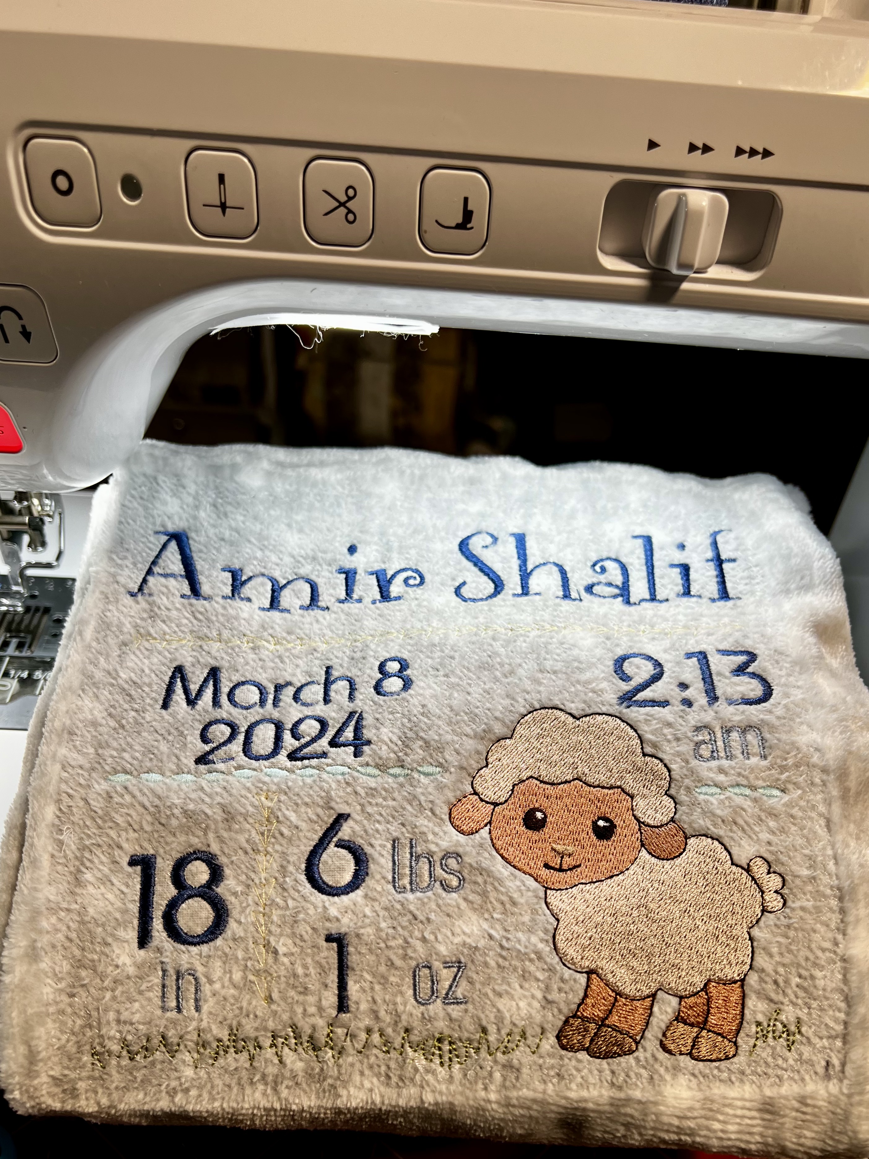 Personalized Baby Birth Announcement Blanket
