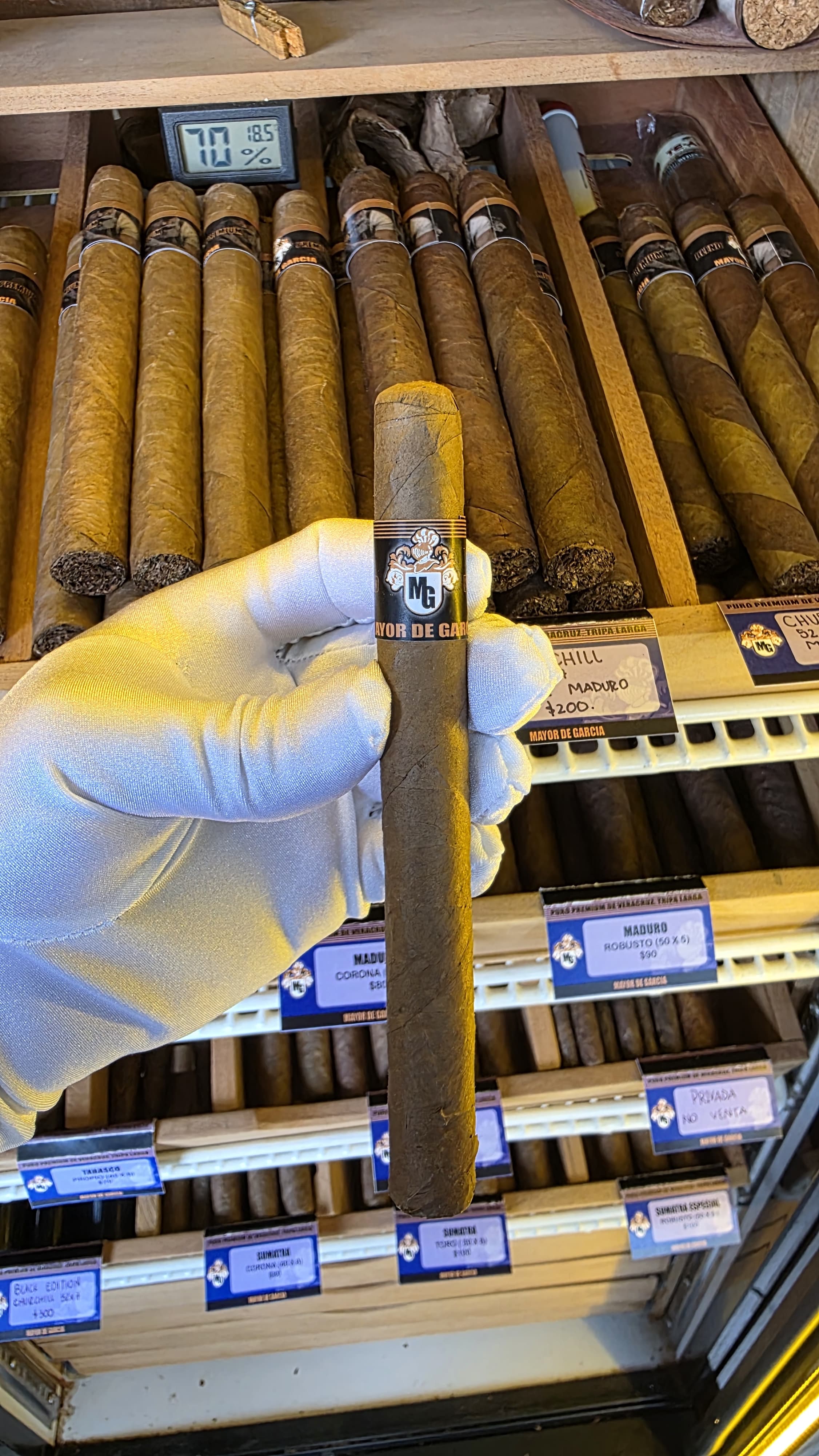 SUMATRA CORONA