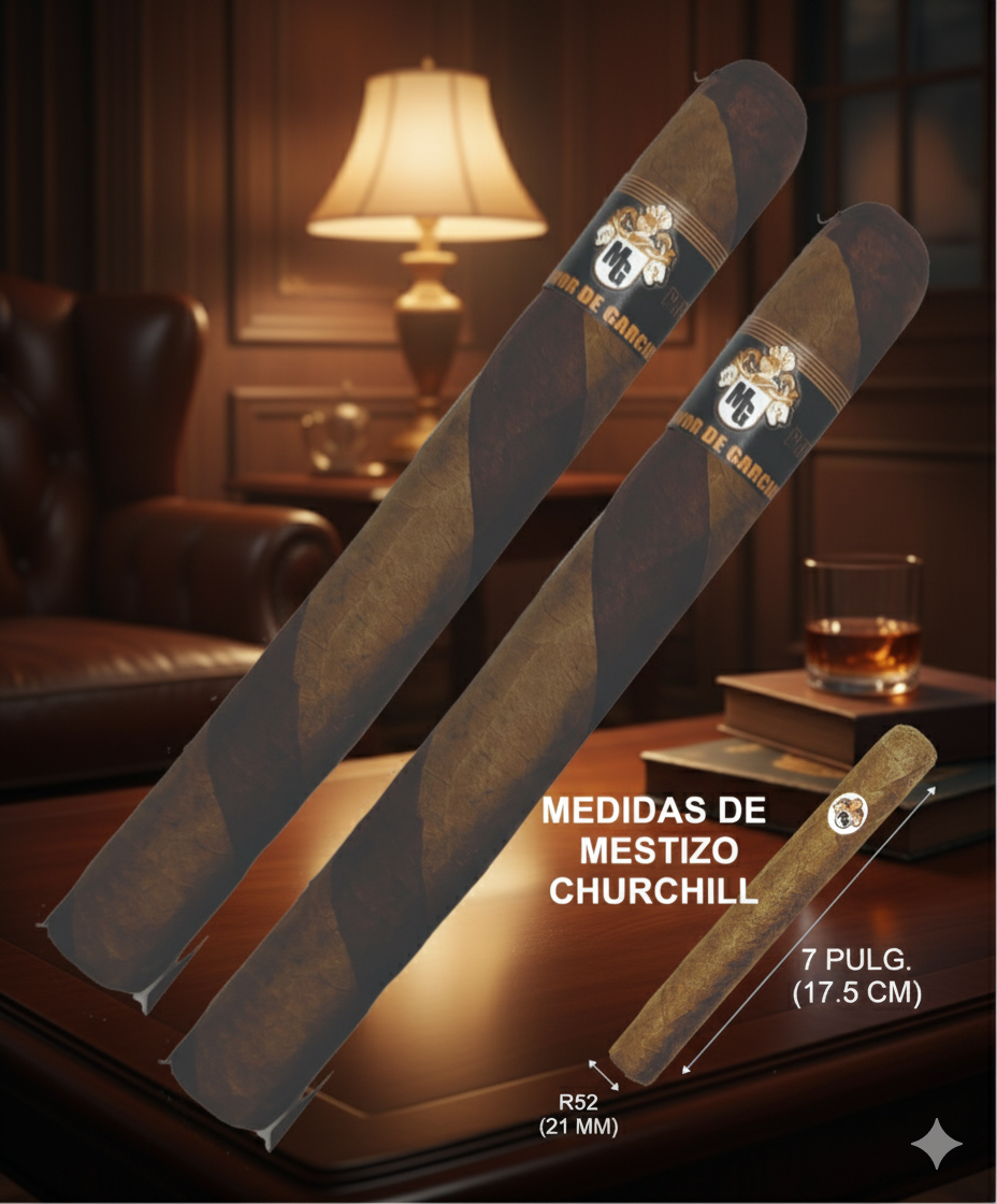 MESTIZO CHURCHILL