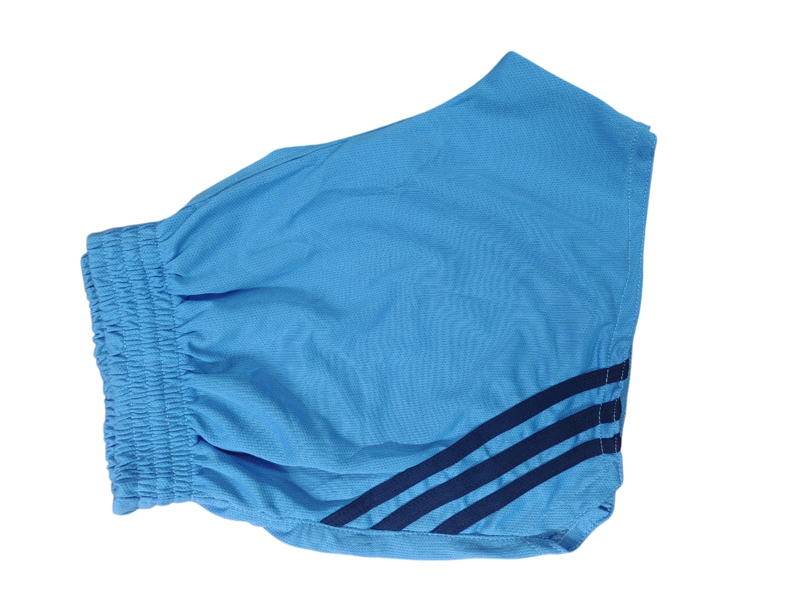 Light Blue Sports Shorts
