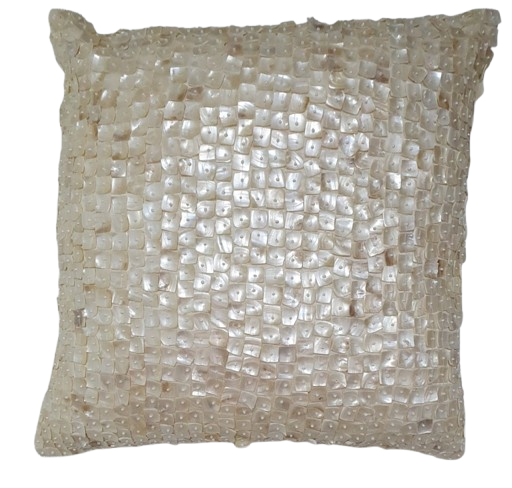 Mother of Pearl Embellished Pillow