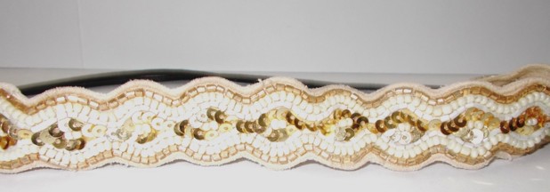 Embroidered Sequin Trim