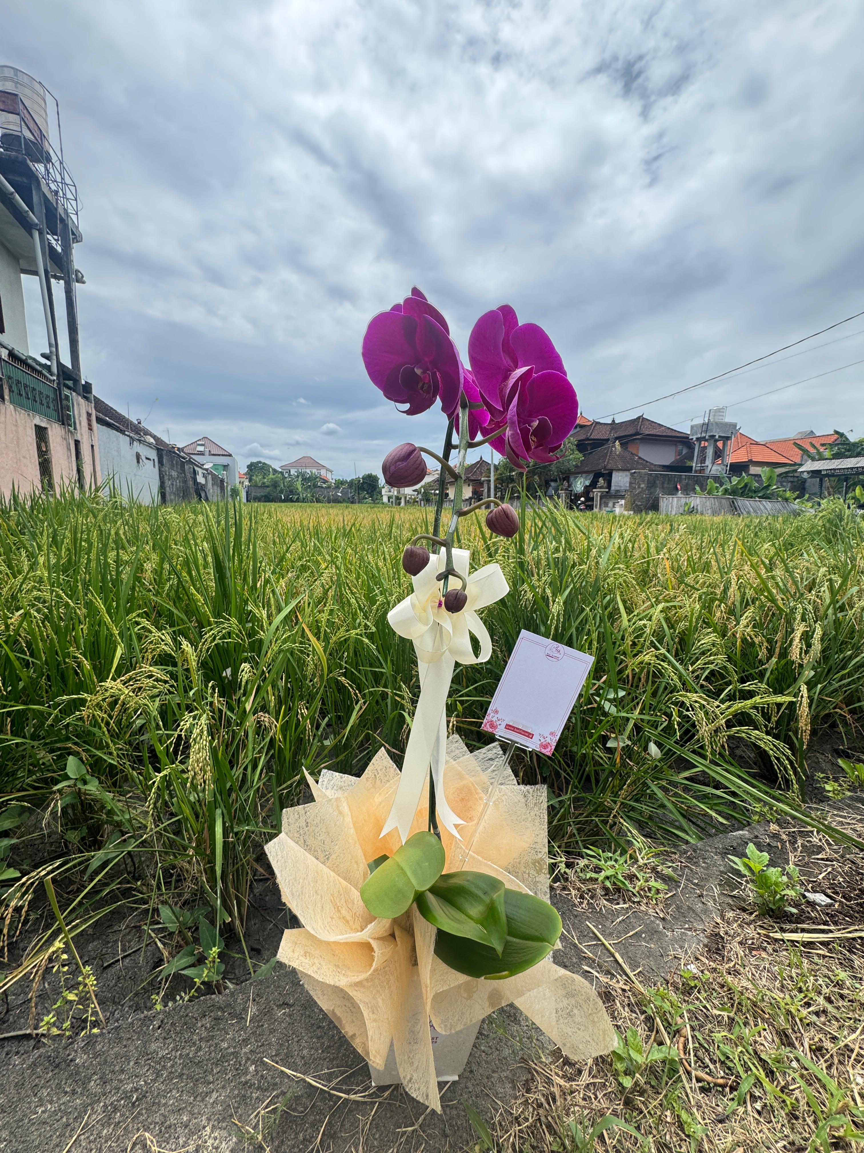 Orchid Bouquet 1 Tree