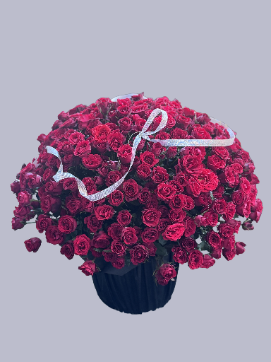 Large Bouquet of 500 Stalks Roses
