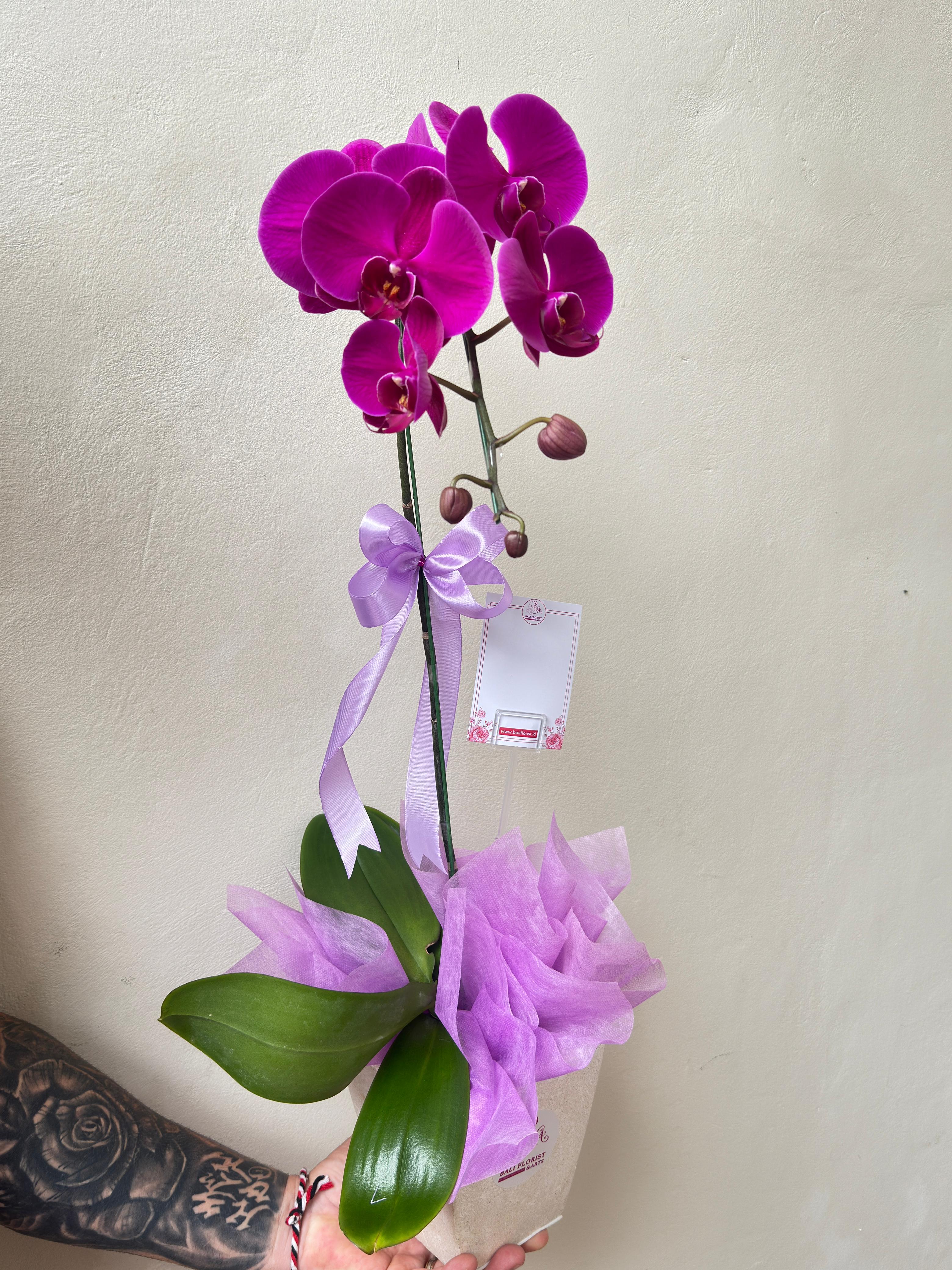 Orchid Bouquet 1 Tree