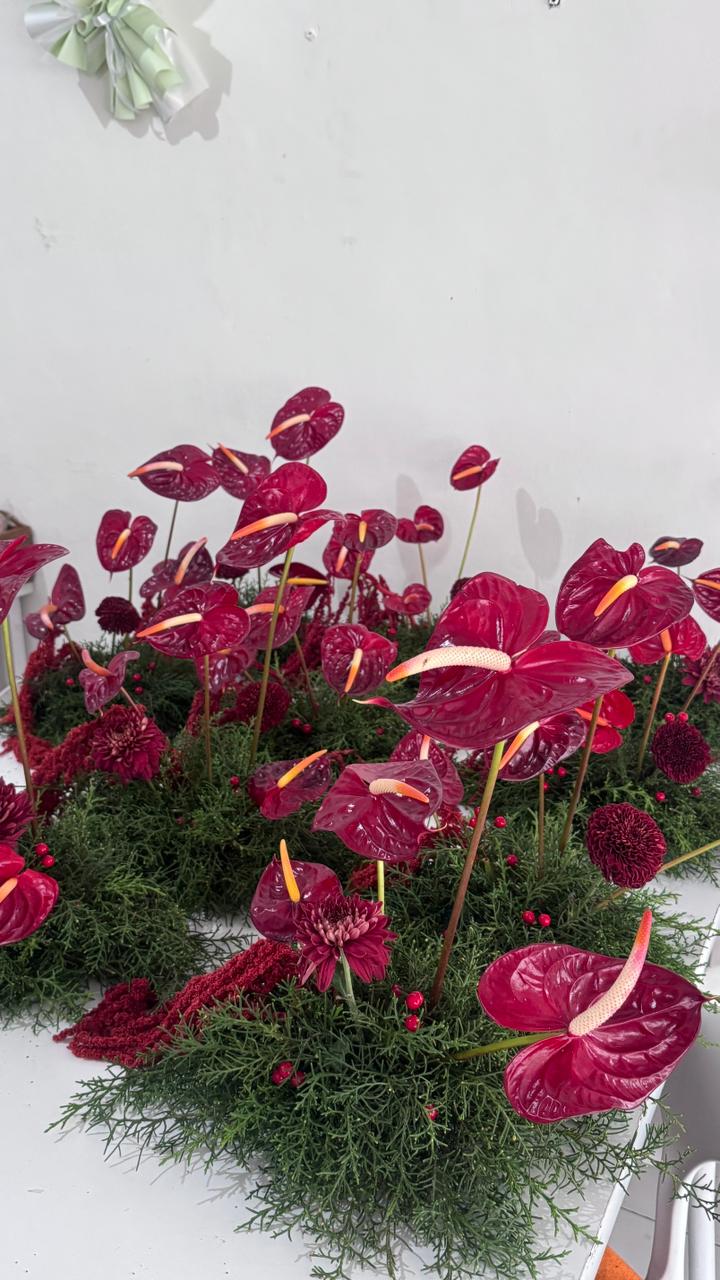 Elegant Anthurium Flower Arrangement