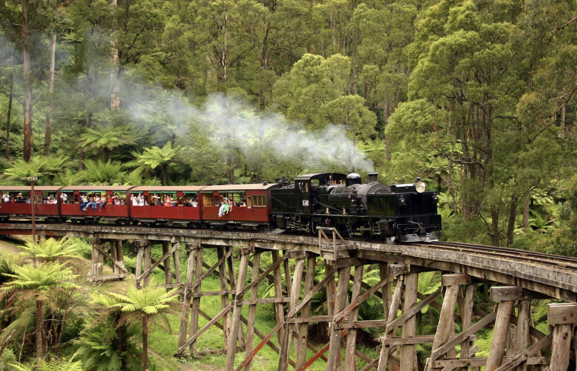 One Day Puffing Billy & Phillip Island Penguin Parade Tour -14 seater Mercedes-Benz Sprinter
