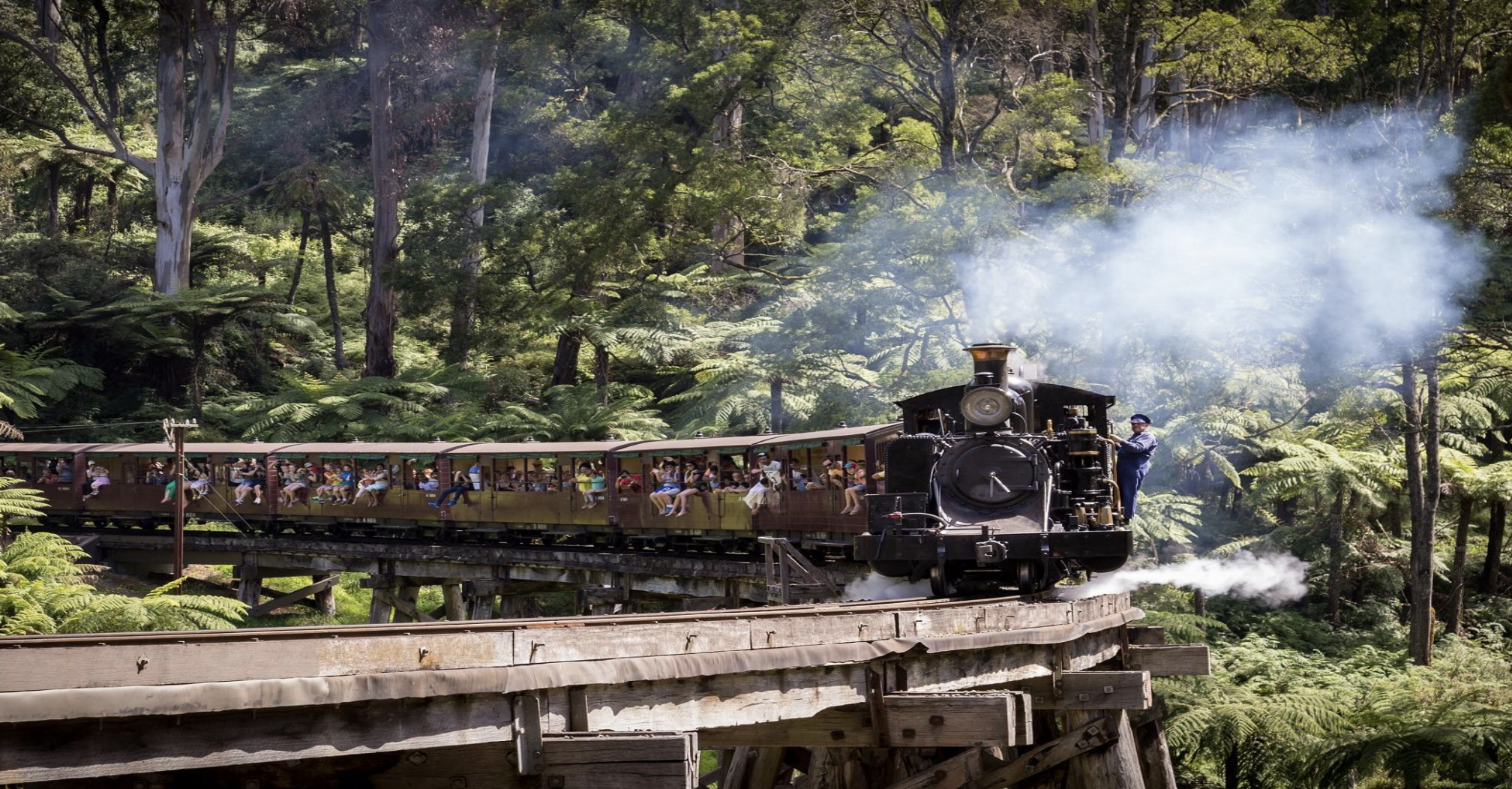 One Day Puffing Billy & Phillip Island Penguin Parade Tour -14 seater Mercedes-Benz Sprinter