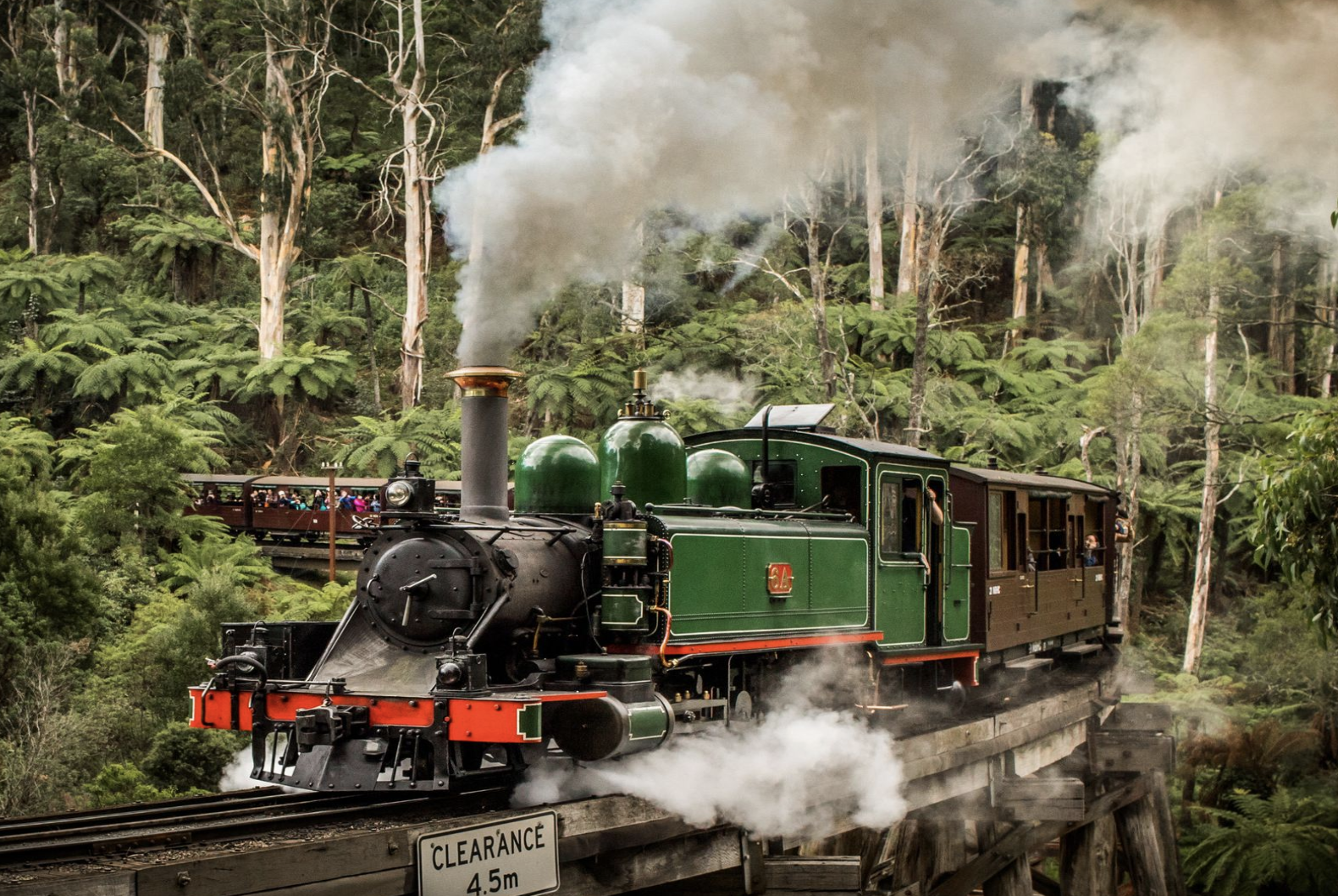 One Day Puffing Billy & Phillip Island Penguin Parade Tour -14 seater Mercedes-Benz Sprinter